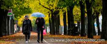 715 nouveaux cas au Québec et 6 décès