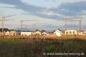 Das neue Quartier in Breisach kann ein großer Wurf werden – aber es braucht Kompromisse - Kommentare - Badische Zeitung - Badische Zeitung