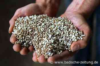 In Breisach soll Phosphor aus Klärschlamm gewonnen werden - Breisach - Badische Zeitung - Badische Zeitung