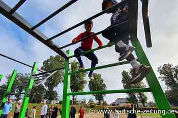 Übungen mit dem eigenen Gewicht: In Breisach eröffnet ein Calisthenics-Park - Breisach - Badische Zeitung - Badische Zeitung