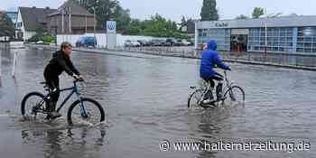 Prämien für Umweltbewusste: Bis zu 1000 Euro für Regenwasserversickerung | Stadtlohn - Halterner Zeitung