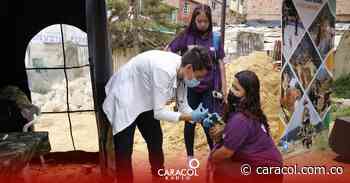 En Montería se inmunizarán a caninos y felinos contra el virus de la rabia - Caracol Radio