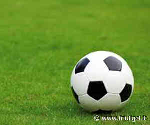 VESNA - L'erba di Santa Croce è uno spettacolo - Friuligol