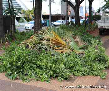 Praça Central de Capivari recebe ações de podas e cortes de árvores - SeuJornal
