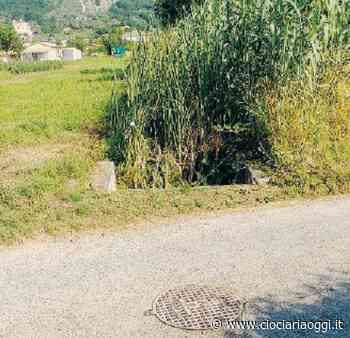 Allagamenti e disagi in contrada Scocciaformiche: le polemiche dei residenti - ciociariaoggi.it