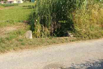 Sora – Allagamenti in Contrada Scocciaformiche, “Sora nel Cuore” chiede interventi - TG24.info