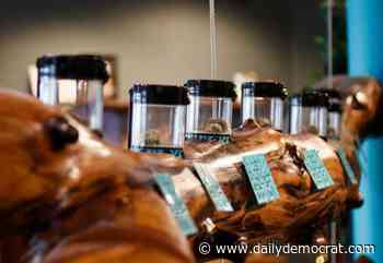 Woodland City Council to discuss allowing cannabis retail use in city - Woodland Daily Democrat