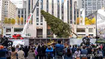 Rockefeller Center Christmas tree arrives in New York City after road trip from Maryland