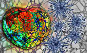 Depression and Anxiety Worsened During COVID Pandemic, Putting Patients at Higher Heart Disease Risk