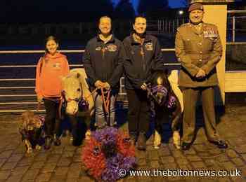 Bolton Horse Riding Centre to remember fallen animals in Remembrance Sunday parade - The Bolton News