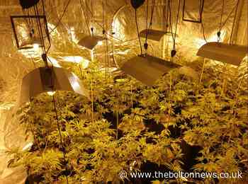 Police discover cannabis farm in Rumworth - The Bolton News