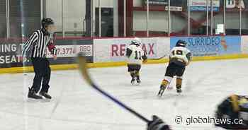 Shortage of hockey referees in Calgary raising concerns over safety and possible cancelled games