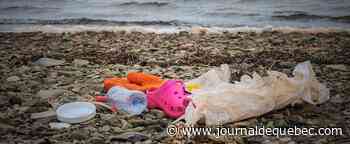 Danemark: une ville jette les déchets de sa plage dans l'océan