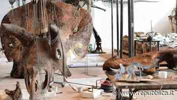 Quel dinosauro è un'opera d'arte - La Repubblica