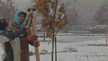 Volunteer group plants 100 trees in Buffalo's Masten District