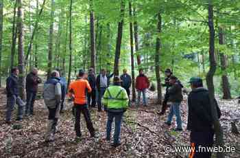 Für Naturverjüngung sind Zäune nötig - Fränkische Nachrichten