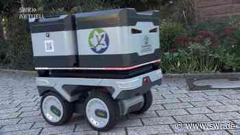 Bruchsal: Premiere für selbstfahrende Roboter im Lieferservice - SWR