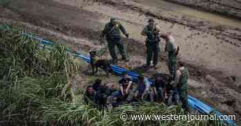 Border Patrol Agents Arrest Suspected MS-13 Gang Members, Some Discovered Making Second Return