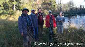 Bobingen: Langjähriger Biberberater verabschiedet sich - Augsburger Allgemeine