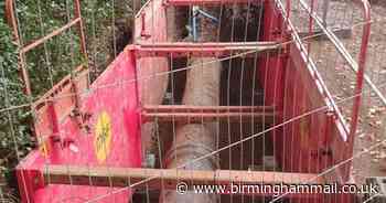 Sutton Coldfield road could remain closed ‘for another week’ as water leak repairs continue - Birmingham Live