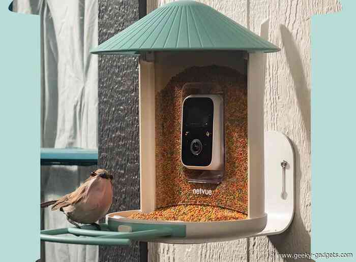 Birdfy AI equipped camera bird feeder can identify over 6000 birds