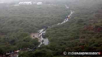 Haryana’s unending dilemma: Forest or not a forest - The Indian Express