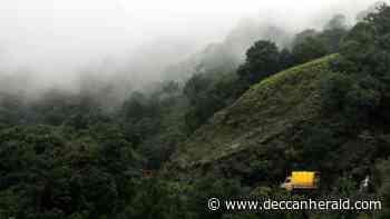 Diluting strict forest laws: Environmentalists cry foul - Deccan Herald