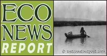 THE ECONEWS REPORT: Pomo Perspectives on Forest Protection at the Jackson State Forest - Lost Coast Outpost