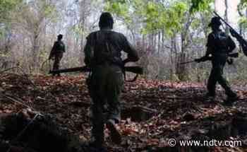 4 Maoists Killed In Encounter In Maharashtra's Gadchiroli Forest: Police - NDTV