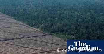Trade officials ‘taking a chainsaw’ to EU forest protection plans - The Guardian