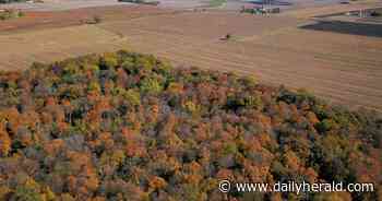 Suburban Skyview: Signs of autumn from above Johnson's Mound Forest Preserve - Daily Herald