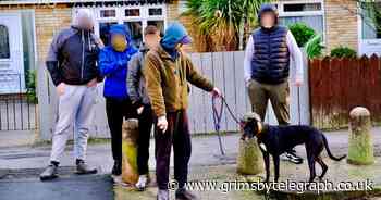 Murder between 'friends': The toxic relationship that ended in tragic death - Grimsby Live