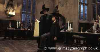 Harry Potter Quiz: How well do you know the Philosopher's Stone? - Grimsby Live
