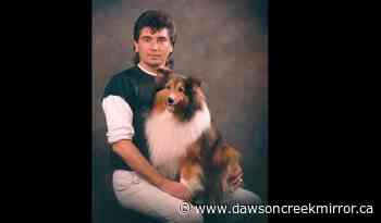 Aaron Webster death: Friends fundraise to refurbish memorial - Dawson Creek Mirror