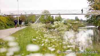 La communauté urbaine d'Arras lutte-t-elle suffisamment à son échelle contre le dérèglement climatique ? - La Voix du Nord