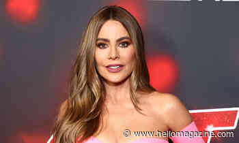 Sofia Vergara gave Howie Mandel this amazing gift - HELLO!