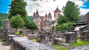 Kloster Hirsau - Nächster Schritt zum Weltkulturerbe - Schwarzwälder Bote