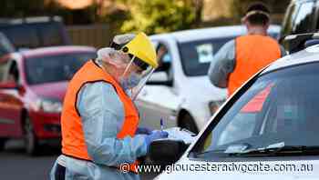 Coronavirus Update: Sunday, November 14 - Gloucester Advocate