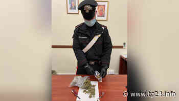 Colleferro – Arrestato 22enne sorpreso con centinaia di dosi di droga tra hashish e marijuana - TG24.info