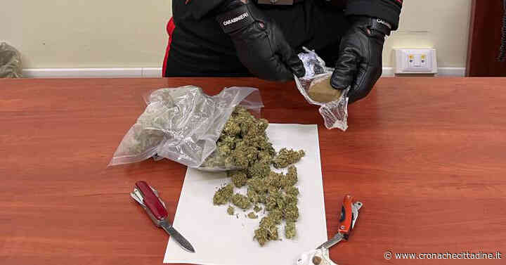 Colleferro. Nello zaino aveva hashish e marijuana sufficienti per confezionare 835 dosi. 22enne romano arrestato dai Carabinieri - Cronache Cittadine