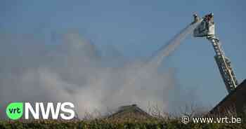 Oplossing gevonden voor varkenskarkassen na stalbrand in Kasterlee - VRT NWS