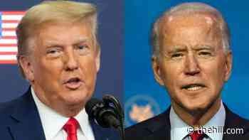 Trump tops Biden by 11 points in new Iowa poll