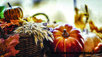 Bethany United Methodist Church invites community to Family Fall Festival - The Coastland Times | The Coastland Times - The Coastland Times