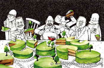 Das System Regensburg » Regensburg Digital - regensburg-digital.de