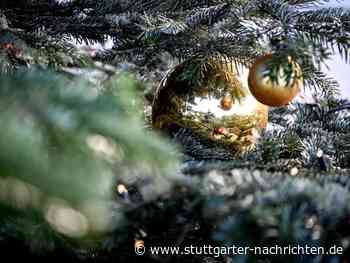 Werbespot von Penny - Weihnachtswerbung mit Mutter und Sohn als Internet-Hit - Stuttgarter Nachrichten