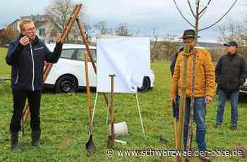50 Jahre Jettingen: Zum Geburtstag gibt’s neue Obstbäume