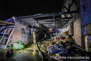 Vooruit pleit voor aankoop van noodwoning