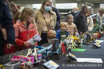 Bricks and More trekt vijfduizend Lego-fans naar Geel: “Noem Lego gerust een verslaving”