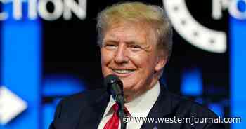 Trump Wins: Former President Victorious in Two Major NYC Lawsuits