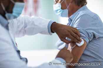 Coronavirus in Cornwall update: Sunday, November 14 - Falmouth Packet
